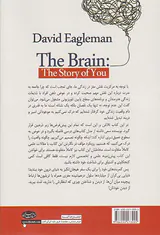 مغز(زندگی ما چگونه شکل می گیرد)
